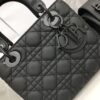 SMALL LADY DIOR
