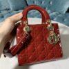 SMALL LADY DIOR