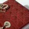 SMALL LADY DIOR
