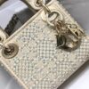 LADY DIOR MICRO BAG