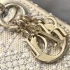 LADY DIOR MICRO BAG