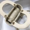 LADY DIOR MICRO BAG