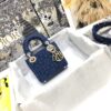 LADY DIOR MICRO BAG