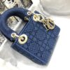 LADY DIOR MICRO BAG