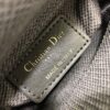 LADY DIOR MICRO BAG