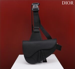 DIOR Saddle Bag