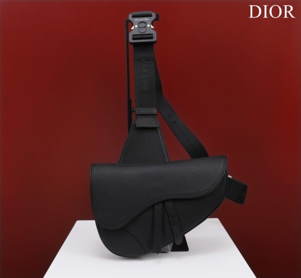 DIOR Saddle Bag