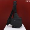 DIOR Saddle Bag