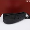 DIOR Saddle Bag