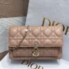 LADY DIOR CHAIN POUCH