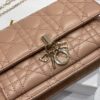 LADY DIOR CHAIN POUCH