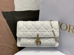 LADY DIOR CHAIN POUCH