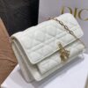 LADY DIOR CHAIN POUCH