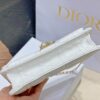 LADY DIOR CHAIN POUCH