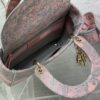 Dior Medium Lady D-Lite bag
