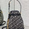 MEDIUM C’EST DIOR BAG