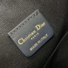 MEDIUM C’EST DIOR BAG