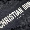 Dior Medium Lady D-Lite bag