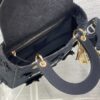 Dior Medium Lady D-Lite bag