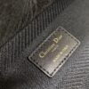 Dior Medium Lady D-Lite bag