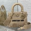 Dior Medium Lady D-Lite bag