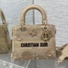 Dior Medium Lady D-Lite bag