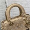 Dior Medium Lady D-Lite bag