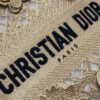 Dior Medium Lady D-Lite bag