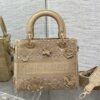 Dior Medium Lady D-Lite bag