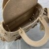 Dior Medium Lady D-Lite bag