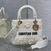 Dior Medium Lady D-Lite bag