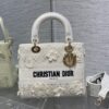 Dior Medium Lady D-Lite bag