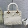 Dior Medium Lady D-Lite bag