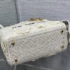 Dior Medium Lady D-Lite bag