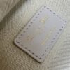 Dior Medium Lady D-Lite bag
