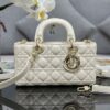 Dior Lady D-Joy Bag Medium