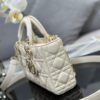 Dior Lady D-Joy Bag Medium