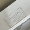 Dior Lady D-Joy Bag Medium