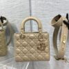 SMALL LADY DIOR