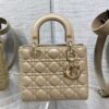 SMALL LADY DIOR