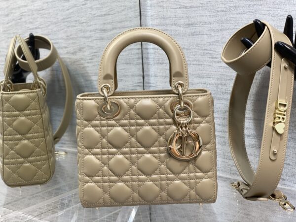SMALL LADY DIOR
