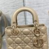 SMALL LADY DIOR