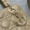 SMALL LADY DIOR