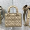 SMALL LADY DIOR