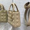 SMALL LADY DIOR