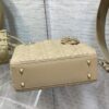 SMALL LADY DIOR