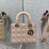 SMALL LADY DIOR