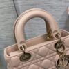 SMALL LADY DIOR