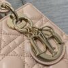 SMALL LADY DIOR