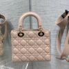 SMALL LADY DIOR